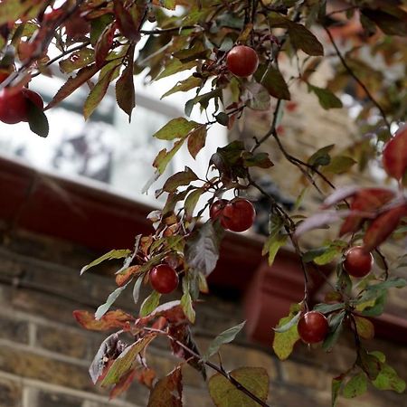 Luxury London Garden Home Sleep 7, 2 Mins To Metro Zewnętrze zdjęcie